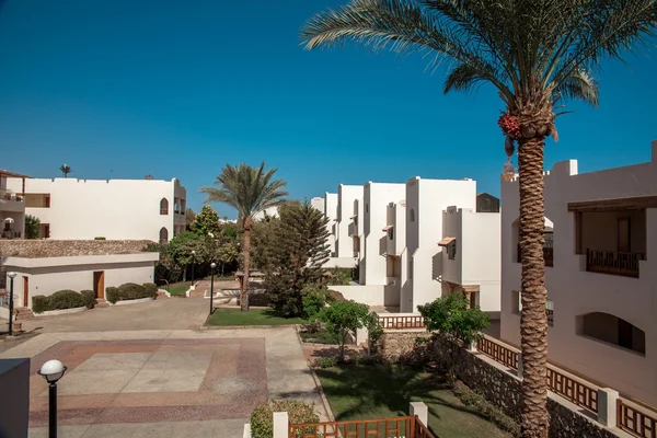 Hotel egípcio de luxo com palmeira — Fotografia de Stock
