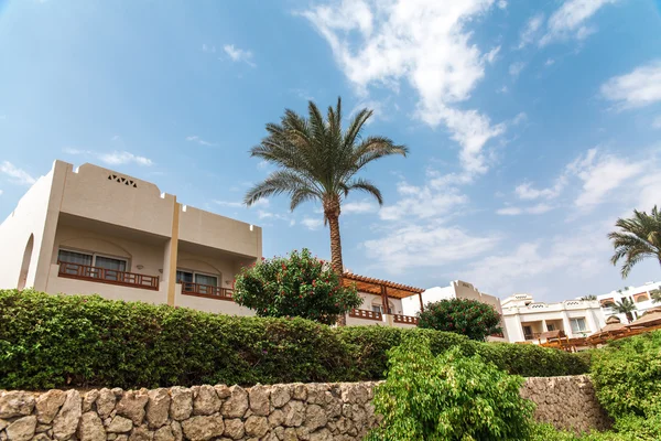Hotel egípcio de luxo com palmeira — Fotografia de Stock