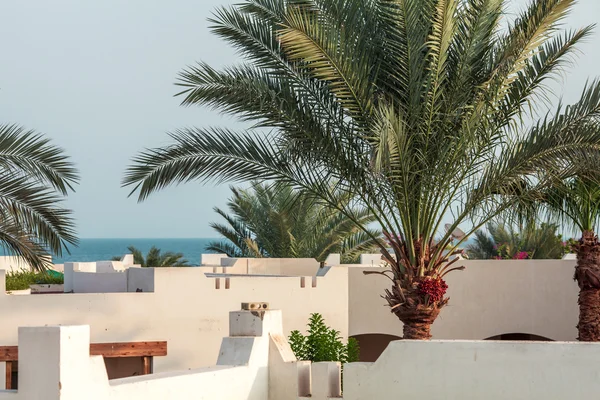 Egyptische luxehotel met palmboom — Stockfoto