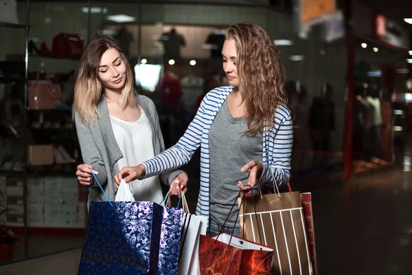 Compras duas senhoras Retrato . Imagem De Stock