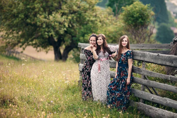 Красиві дівчата в довгих сукнях ходять на природі — стокове фото