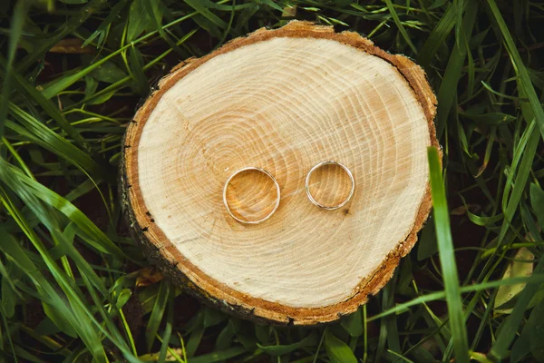 Hermoso anillo de compromiso se encuentran en soporte de madera — Foto de Stock