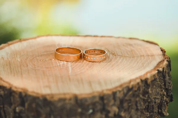 Hermoso anillo de compromiso se encuentran en soporte de madera — Foto de Stock