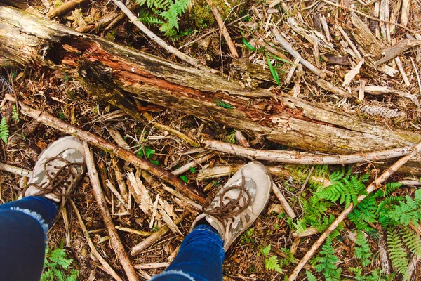 Hiking schoenen op wandelaar wandelen buiten. Mannen op het wandelen in de natuur. Close up van wandelschoenen. — Stockfoto