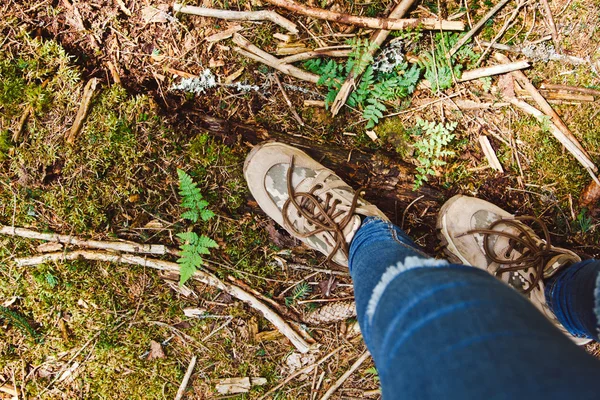 Zapatos de senderismo en caminante caminando al aire libre. Hombres en trekking en la naturaleza. Primer plano de las botas de senderismo . —  Fotos de Stock