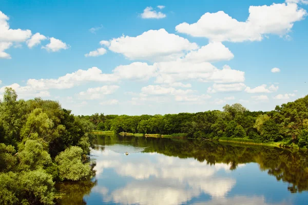 Bella foresta lago sotto cielo nuvoloso blu — Foto Stock