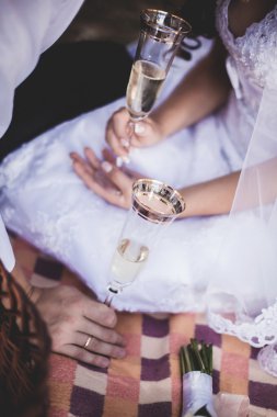 Gelin ve damat içki