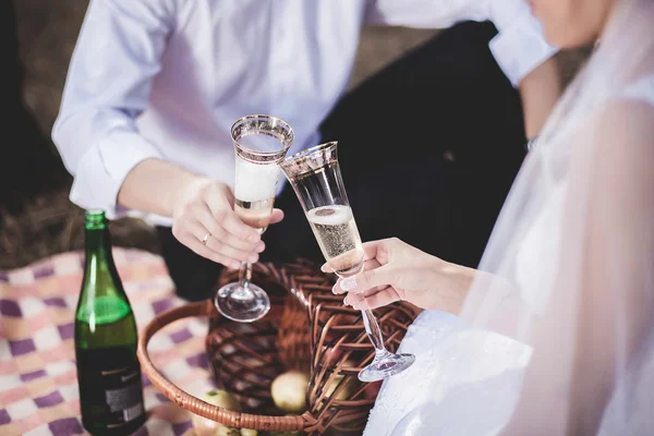 Verheugd huwelijksfeest paar hebben romantische picknick — Stockfoto