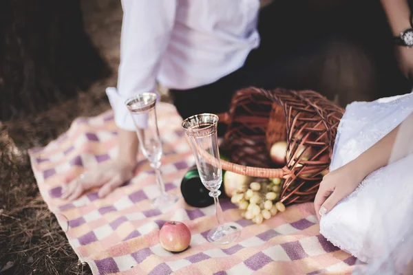 Feliz boda pareja teniendo romántico picnic —  Fotos de Stock