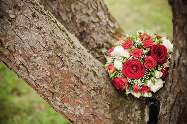 Ramo de boda en un árbol — Foto de Stock