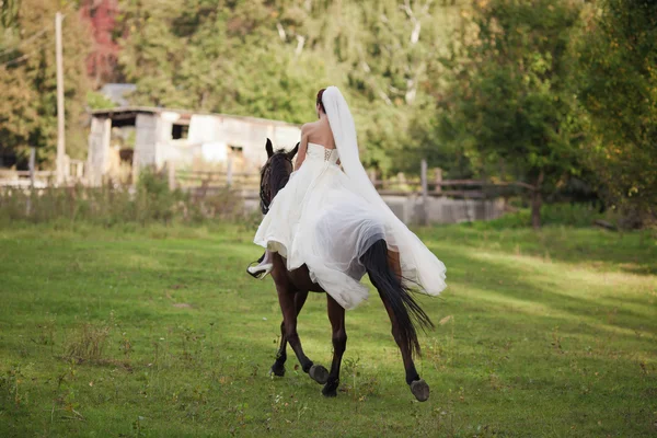 Модна наречена верхи на коні — стокове фото