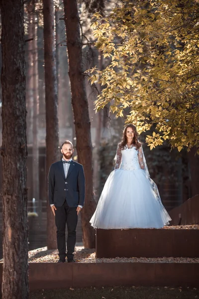 Joyeux jeune marié et jeune mariée — Photo