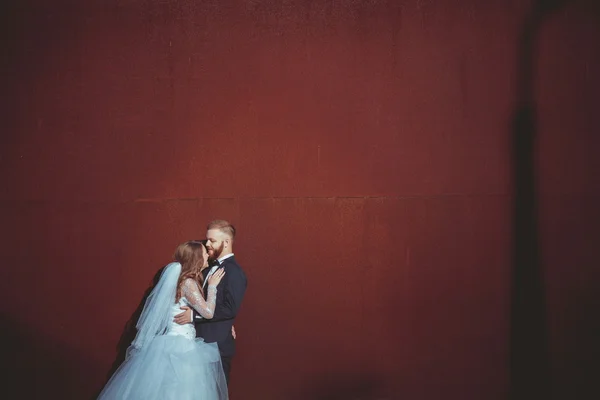 Happy Bride and Groom Abraço — Fotografia de Stock