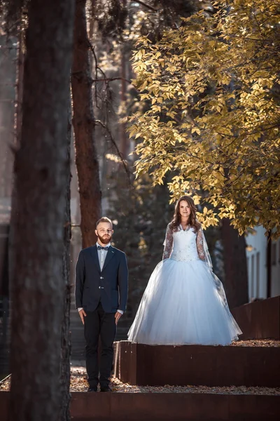 Mariée heureuse et marié au mariage — Photo