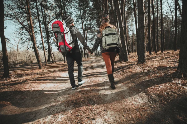 stock image Couple of hikers walking in the wood