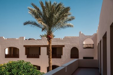 palmiye ağaçları ve mavi gökyüzü ile lüks Mısır otel