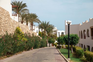 palmiye ağaçları ve mavi gökyüzü ile lüks Mısır otel