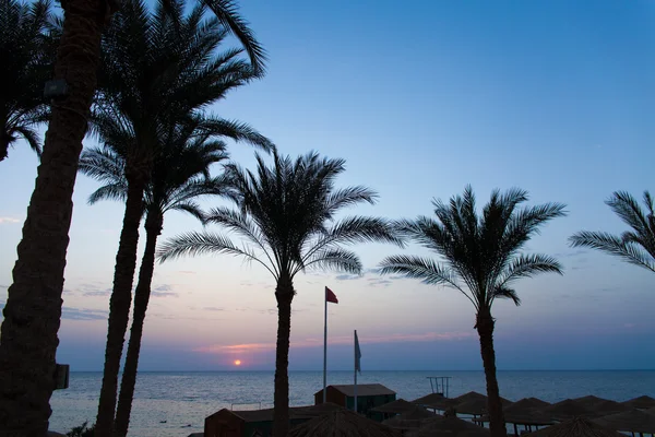 Hotel egípcio de luxo com palmeiras e céu azul — Fotografia de Stock