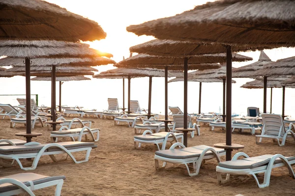palmiye ağaçları ve mavi gökyüzü ile lüks Mısır otel