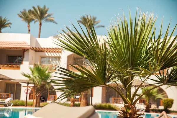 Luxury Egyptian hotel with palm trees and blue sky — Stock Photo, Image