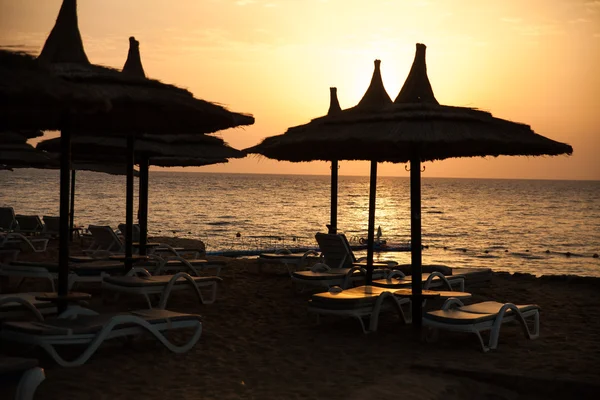 Palmiye ağaçları ve mavi gökyüzü ile lüks Mısır otel — Stok fotoğraf