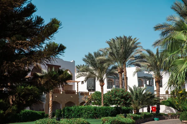 Роскошный египетский отель с пальмами и голубым небом — стоковое фото