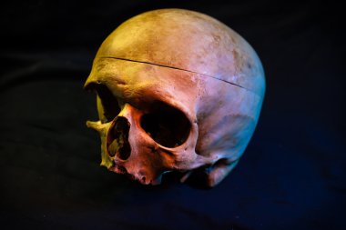 Dövme taslağını. Dövmeler oluşturmak için