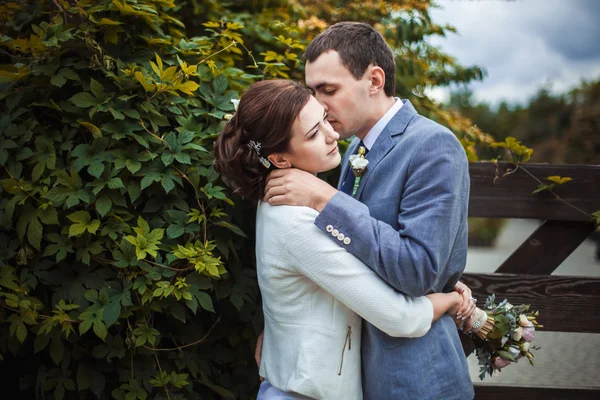 Beautiful wedding couple — Stock Photo, Image