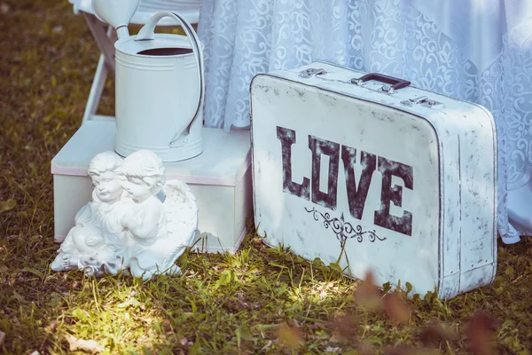 Hermosa maleta blanca en la naturaleza — Foto de Stock