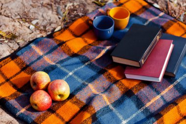 mandalina ekose battaniye üzerinde