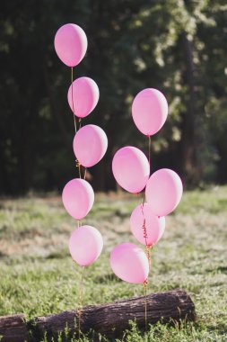 Pembe balonlar demet