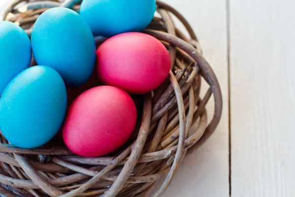 Azul e rosa ovos de Páscoa no ninho no fundo de madeira branco — Fotografia de Stock