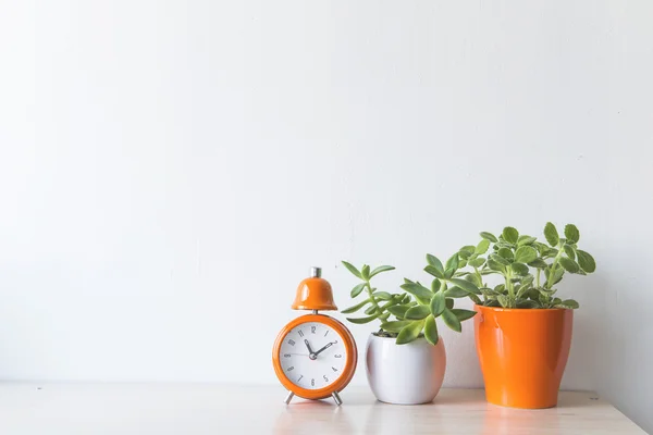 flowers and alarm clock on a white wall shelf