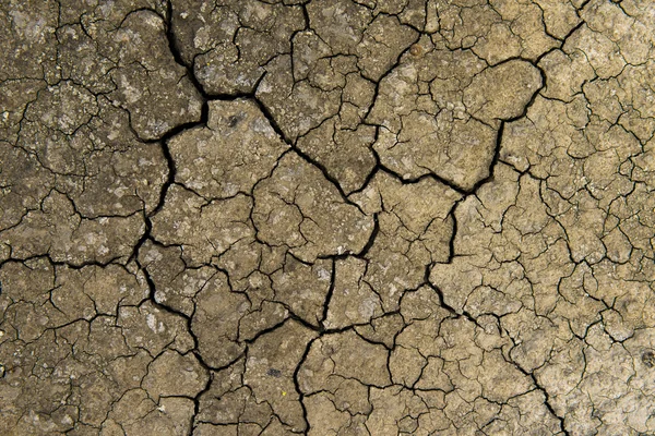 Dry cracked earth background, clay desert texture