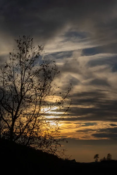 Paisaje Atardecer Mostrando Una Silueta Árbol Bajo Cielo Nublado —  Fotos de Stock