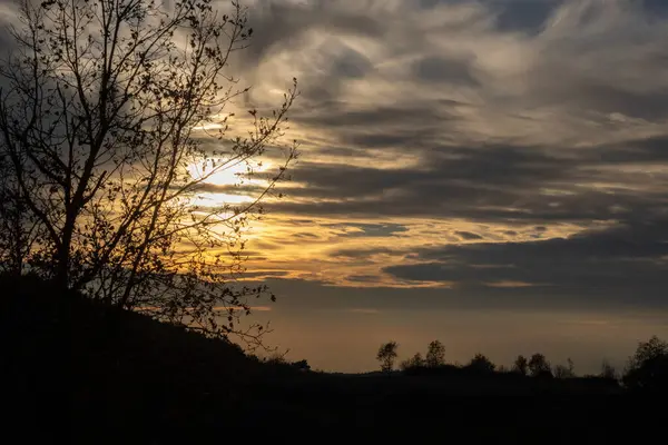 Paisaje Atardecer Mostrando Una Silueta Árbol Una Montaña Fondo Bajo —  Fotos de Stock