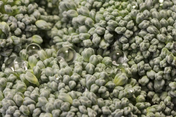 Close-up de um brócolis com gotas de água — Fotografia de Stock