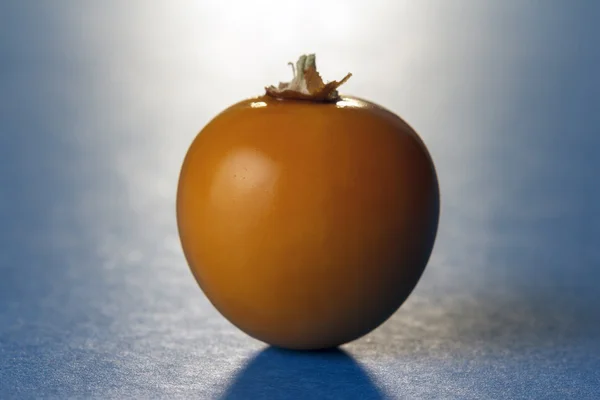 Eine Physalis-Frucht vor blauem Hintergrund — Stockfoto