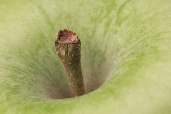 Primer plano del tallo de una manzana Imagen De Stock