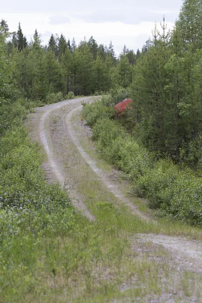 Red rock in northern Sweden — Stock Photo, Image