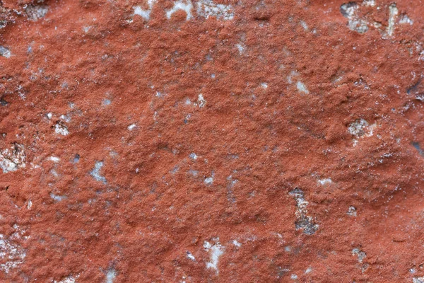 Detail z řasy Trentepohlia iolitus — Stock fotografie