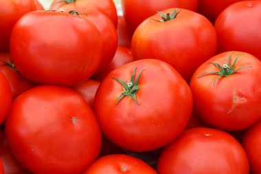 birçok domates