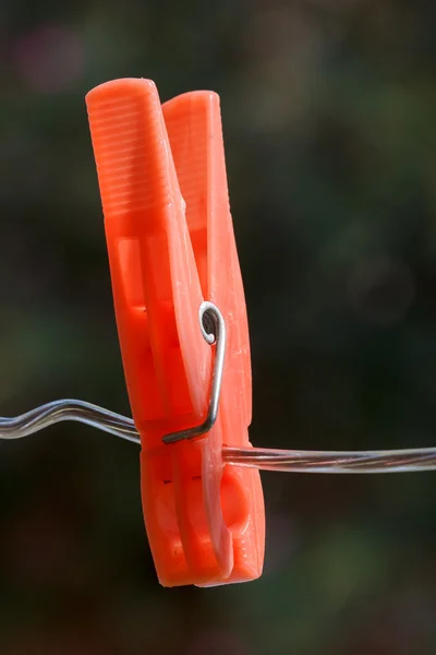 Kunststof wasknijper — Stockfoto