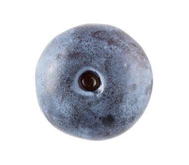 Beyaz bir arka plan karşı tek bir blueberry Üstten Görünüm
