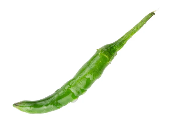 Egy nedves zöld chili paprika — Stock Fotó