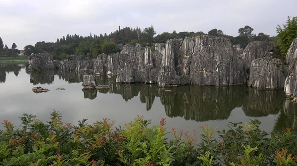 Tome Una Foto Del Bosque Piedra Kunming China Imágenes de stock libres de derechos