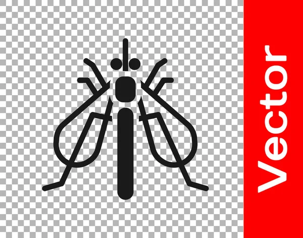 Icône Insecte Expérimentale Noire Isolée Sur Fond Transparent Vecteur — Image vectorielle