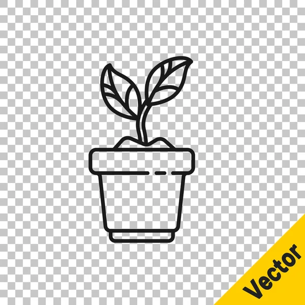 黑线植物在罐子图标隔离在透明的背景下 植物生长在一个罐子里 盆栽标志 病媒图解 — 图库矢量图片