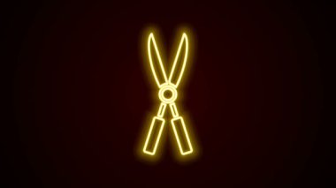 Siyah arkaplanda izole edilmiş simgeyi budamak için parlayan neon çizgisi el yapımı makas. Ahşap saplı budama makası. 4K Video hareketli grafik canlandırması