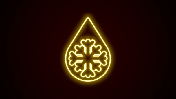 Linia strălucitoare de neon Defrosting icon izolat pe fundal negru. De la gheață la simbol de apă. 4K Animație grafică în mișcare video — Videoclip de stoc
